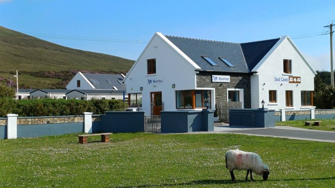 Seal caves — Sítio de acampamento in Doogort