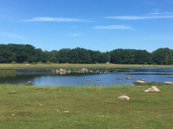 Ronneby Havscamping — Photo 5