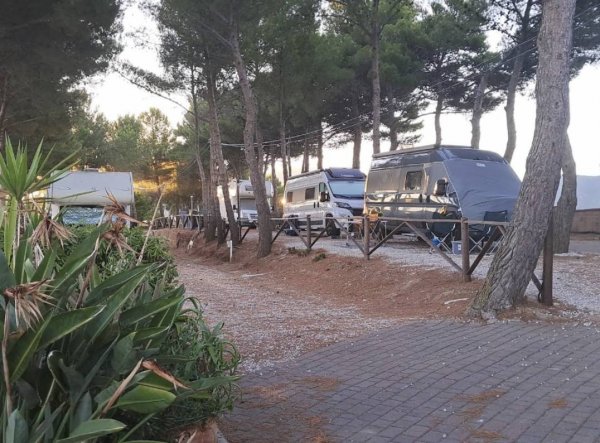 Agriturismo Le Rondini Di San Bartolo — Photo 2