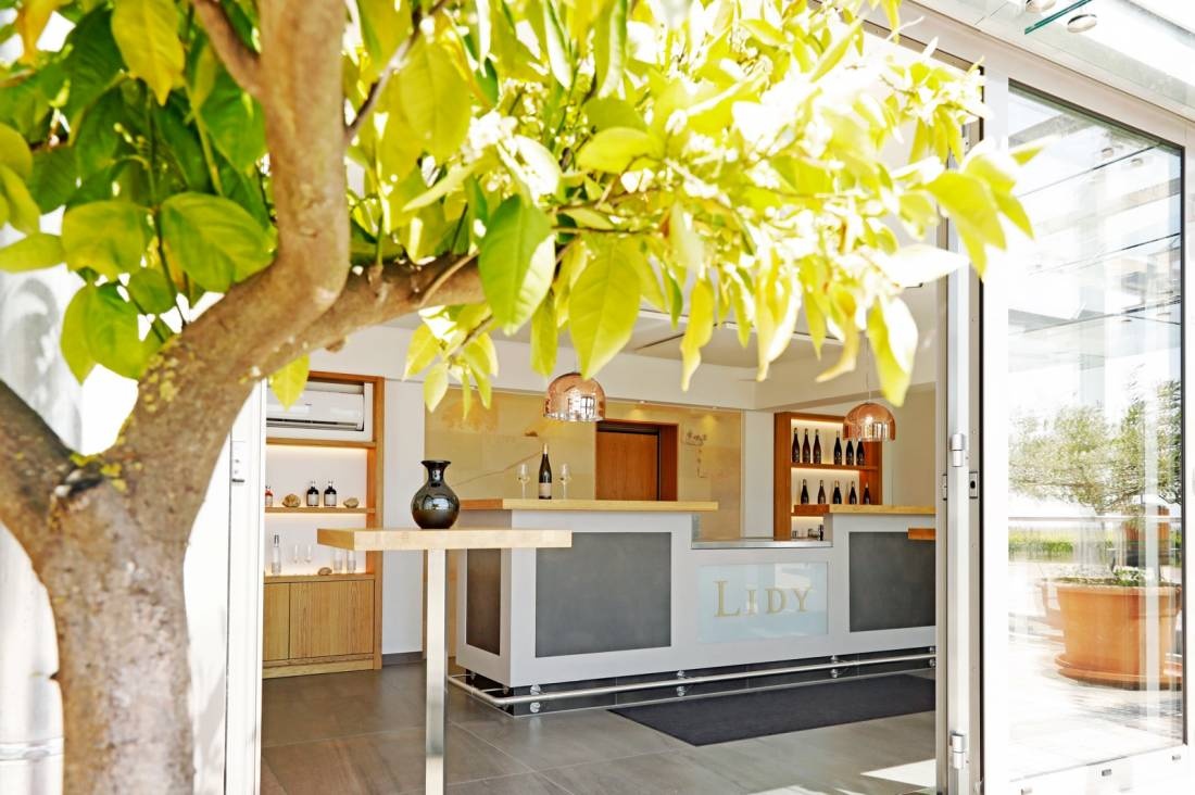 Weingut Lidy — Vinařství in Frankweiler