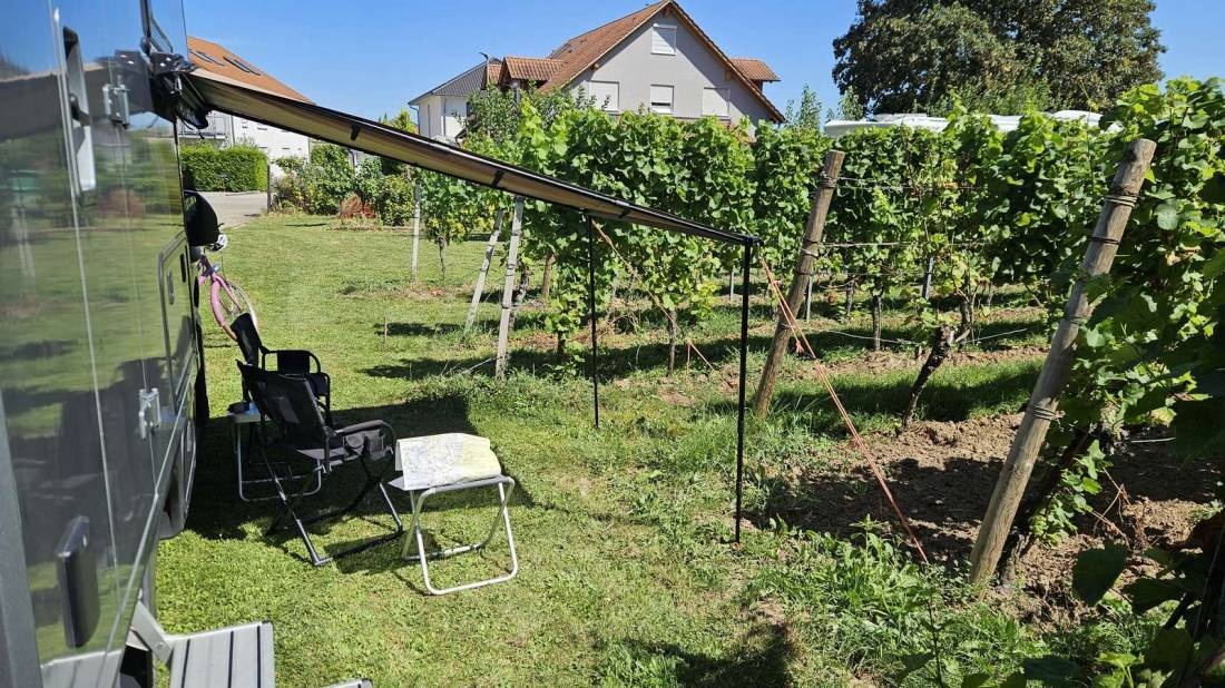 Weingut Lidy — Vinícola in Frankweiler