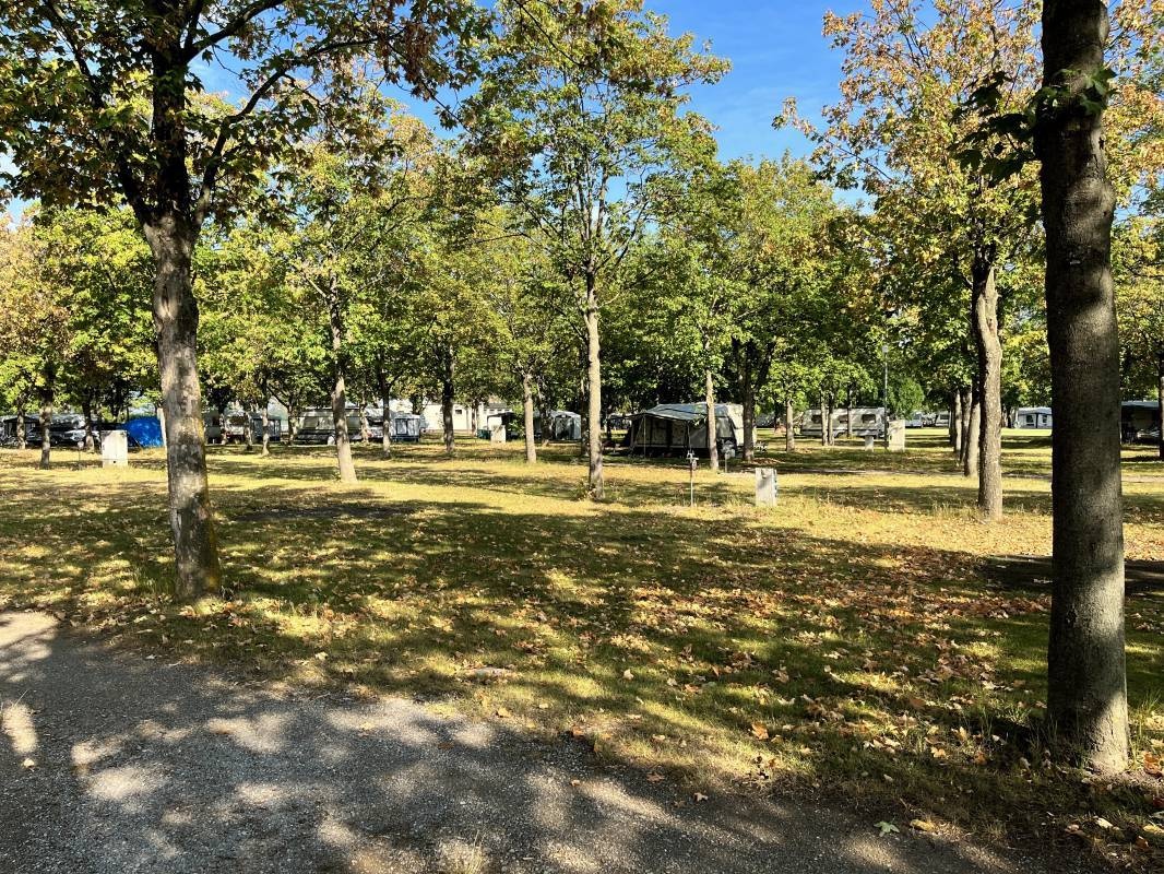 Campingplatz Sankt Andrä am Zicksee — Campingplass in Sankt Andrä am Zicksee