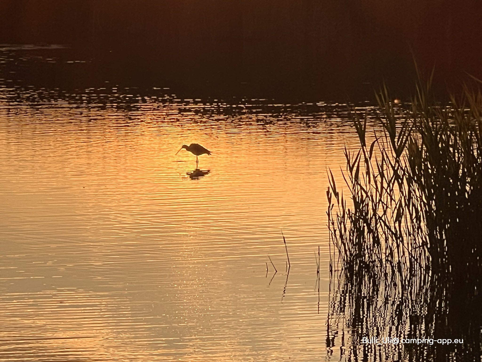 Campingplatz Sankt Andrä am Zicksee — Foto 5