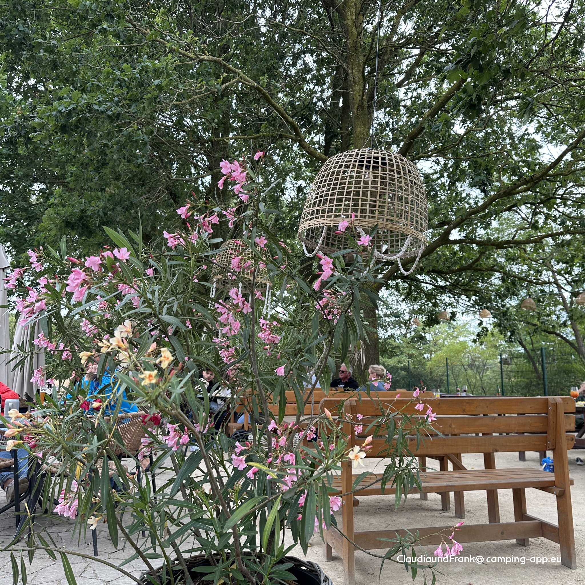 Campingplatz Heidesee — Foto 3