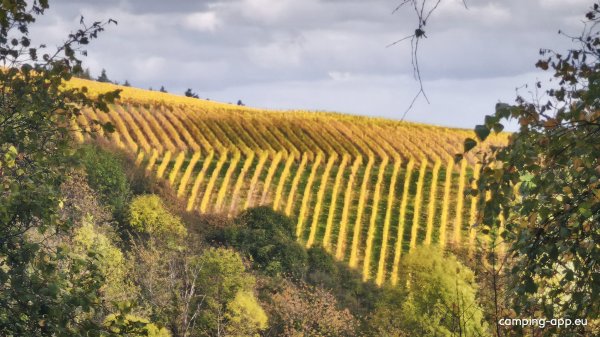 Stellplatz am schönen Weinhof Martin — Foto 6