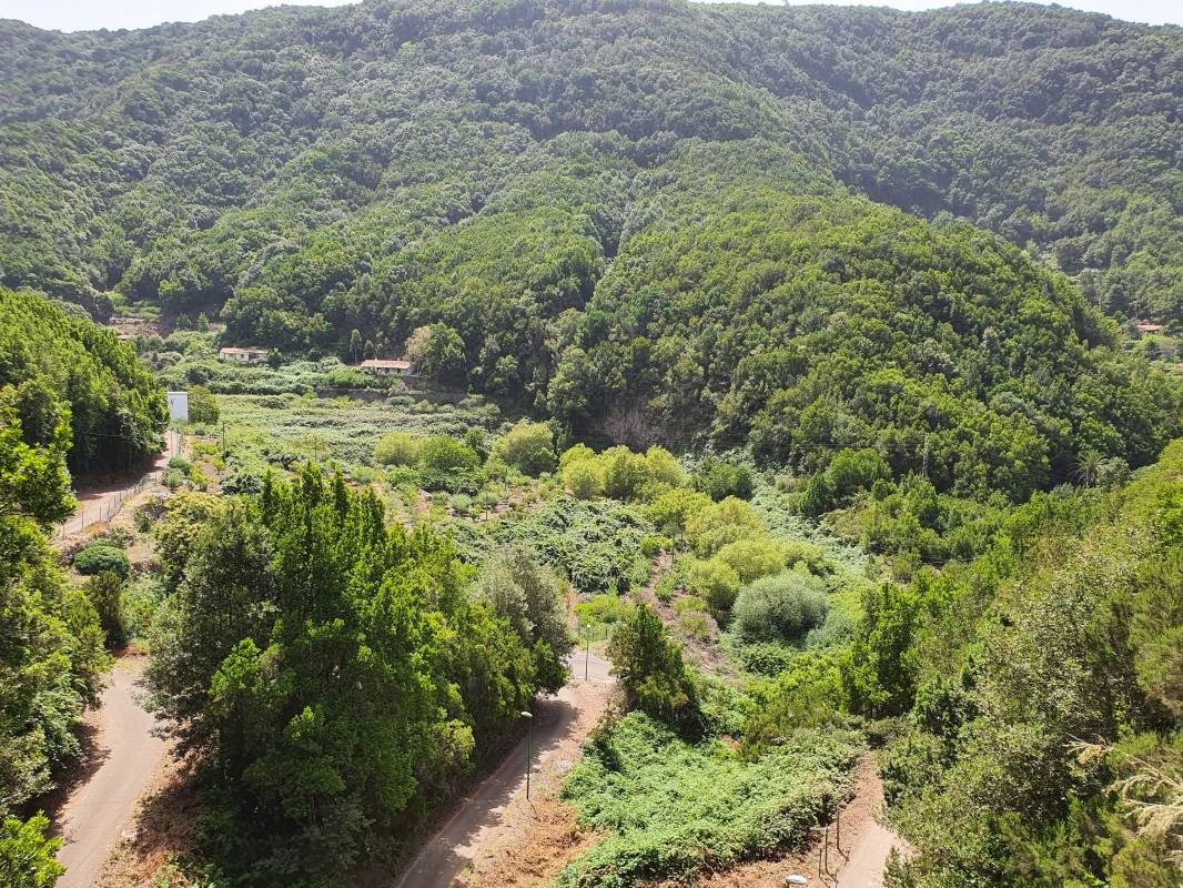 Bar Restaurante Camping La Vista — Apenas tendas in Hermigua