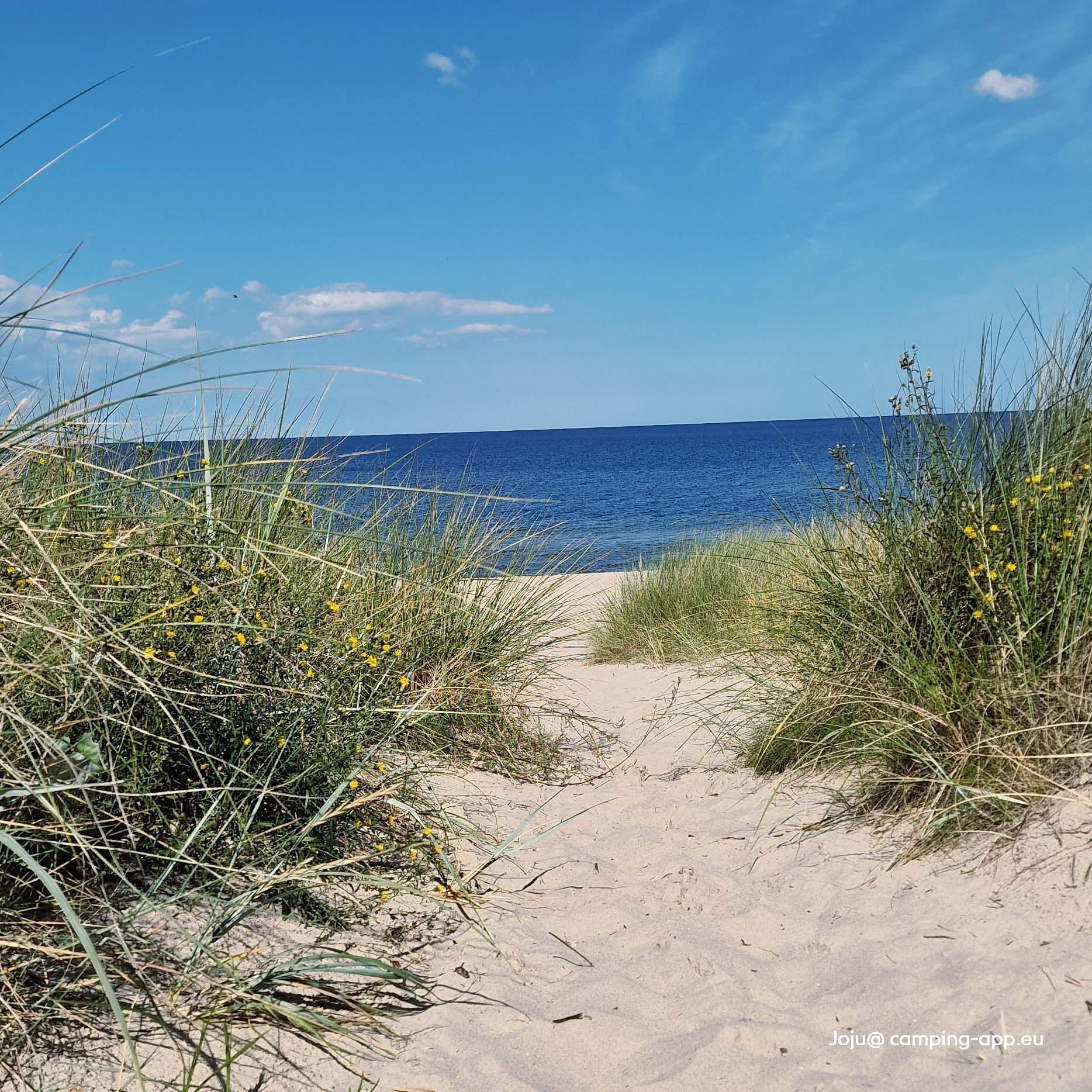 Vallsnäs Camping — Fotoğraf 4