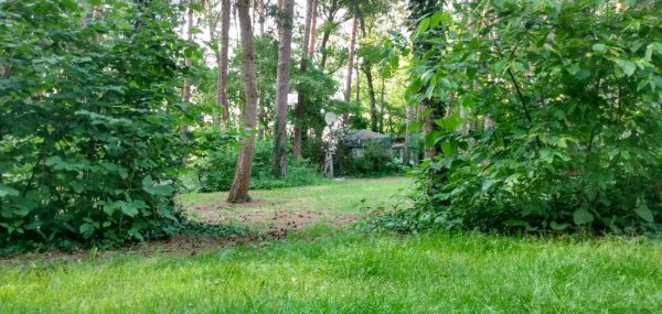 Campingplatz Waidmannsruh — Foto 2