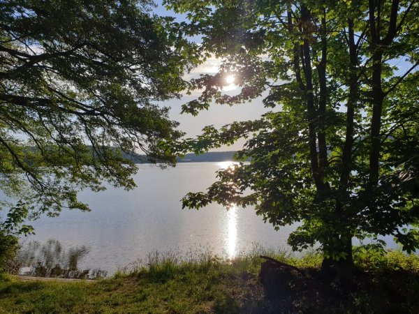 Naturcamping am Werbellinsee