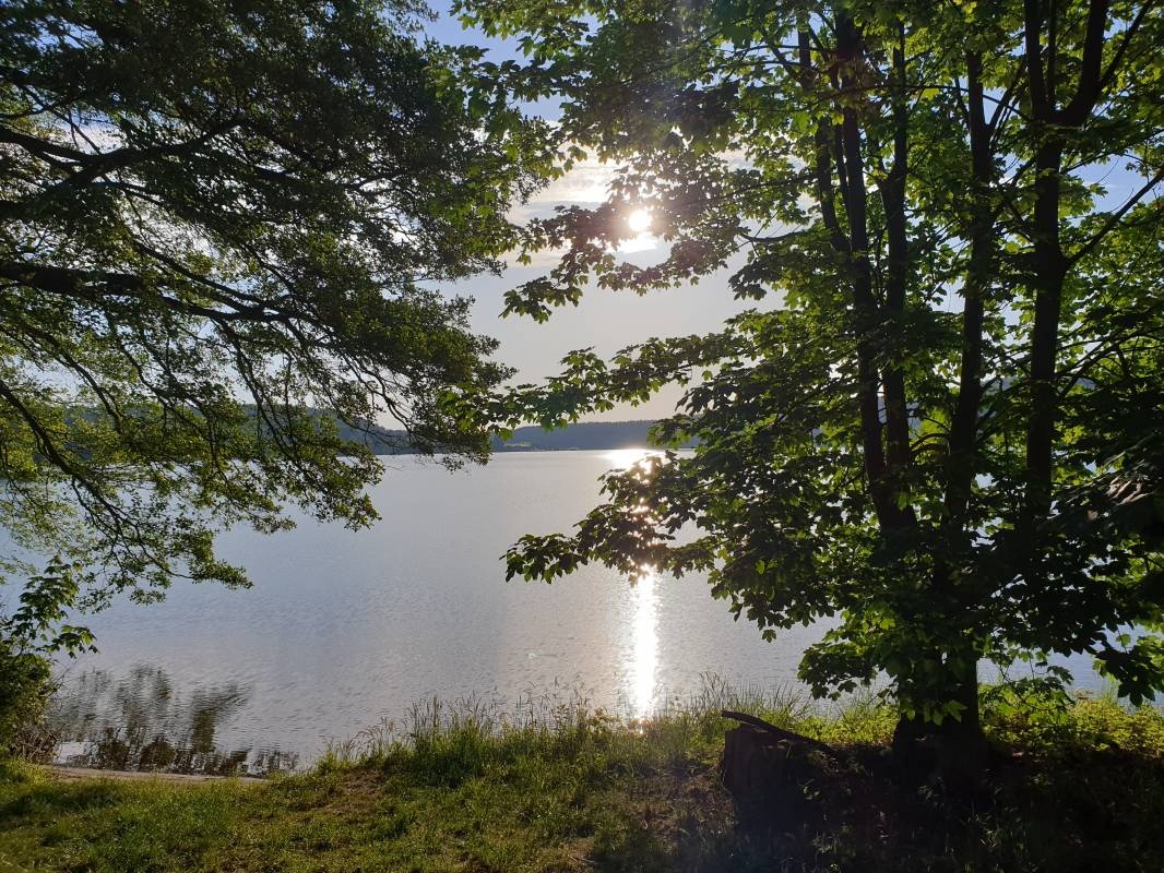 Naturcamping am Werbellinsee — Camping in Joachimsthal