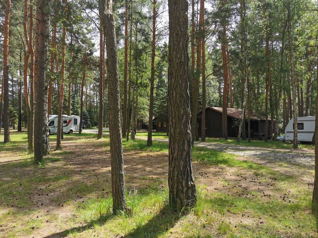 Family kemp Máchovo jezero — Sítio de acampamento in Doksy