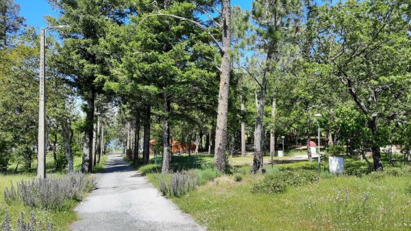 Parque de Campismo Curral do Negro — Photo 6