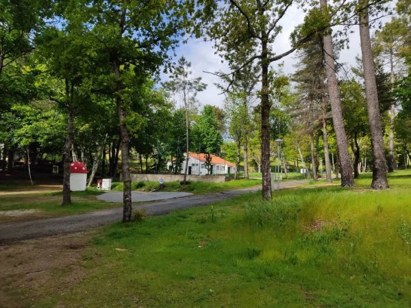 Parque de Campismo Curral do Negro — Photo 3