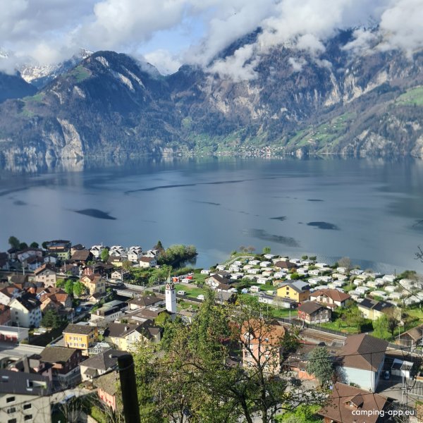 Camping Bucheli — Photo 5