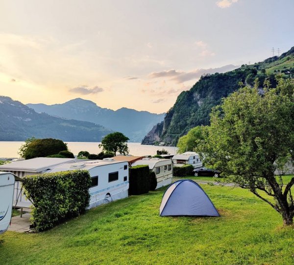 Camping Bucheli — Photo 2