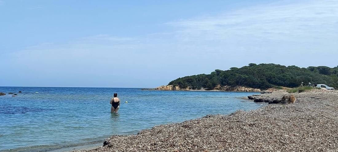Camping à la Ferme U Paradisu — Sítio de acampamento in Porto-Vecchio