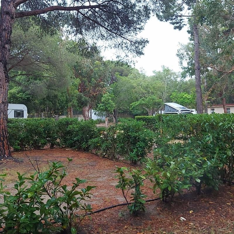 Campo di Liccia — Camping in Bonifacio