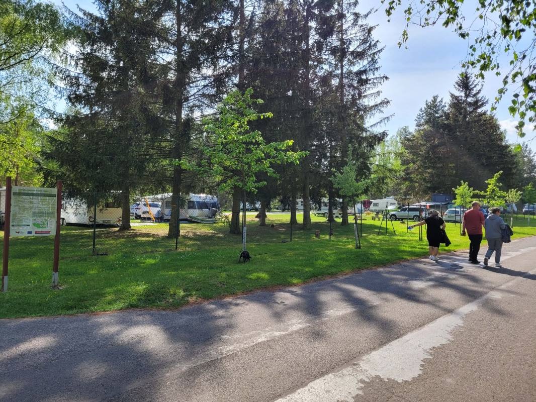 Vrch Bela — Місце для кемпінгу in Bělá pod Bezdězem