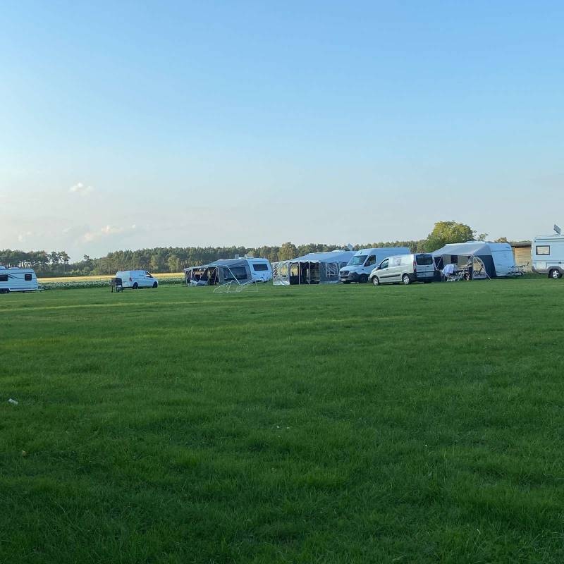 Campingplatz Waldesruh — Campingplads in Gifhorn