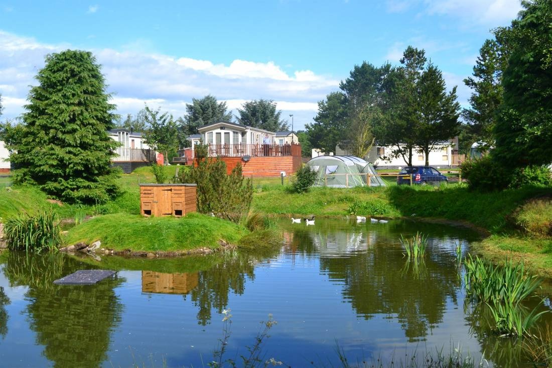 Deeside Holiday Park — Camping in Kirkton of Maryculter
