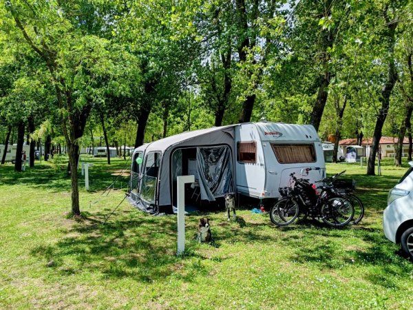 Campeggio Falconera — Photo 2