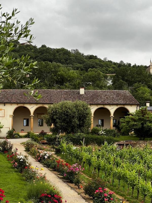 Cantina Pegoraro — Sítio para autocaravanas in Barbarano Mossano VI