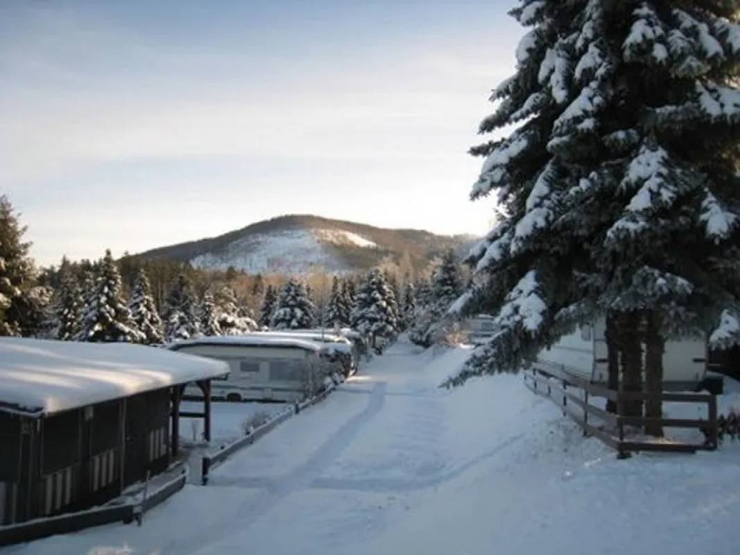 Die Wölfe vom Wolfenstein e.V — Campingplatz in Bad Harzburg
