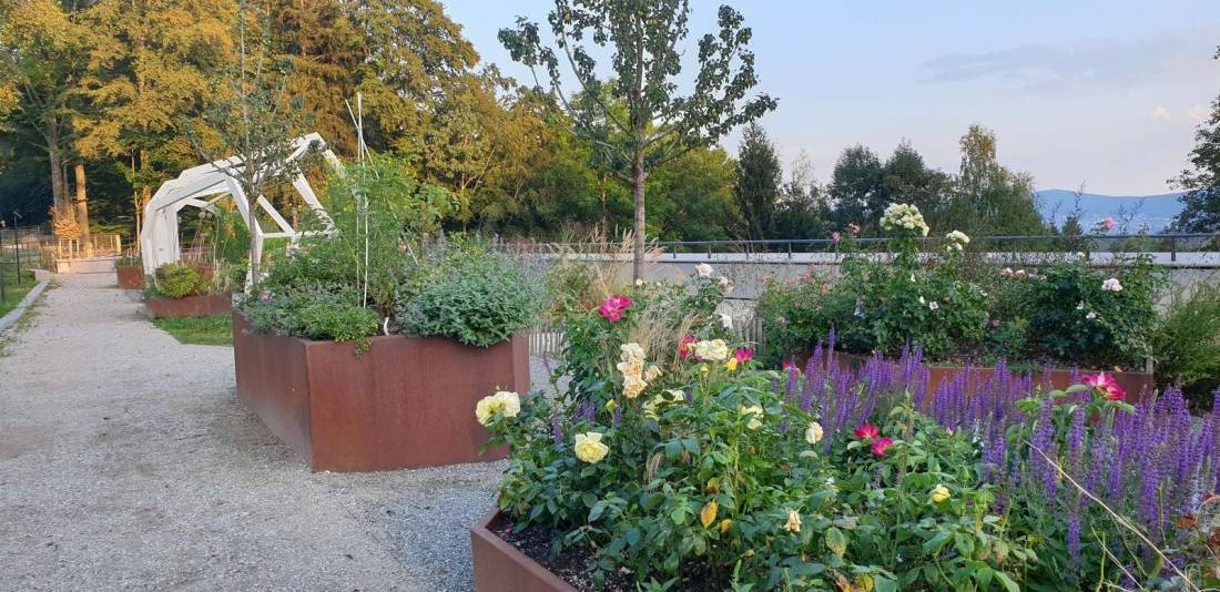 Stellplatz ehem Gartenschau — Sítio para autocaravanas in Freyung