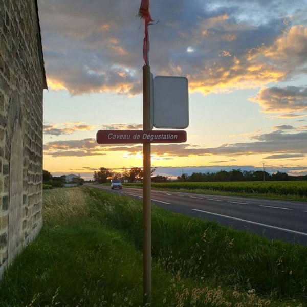 Platz am Weingut — Photo 3