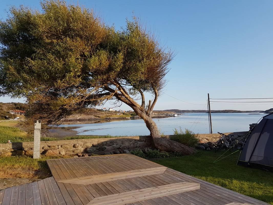 Caravan Club, Sollid Camping — Campingplass in Hälleviksstrand