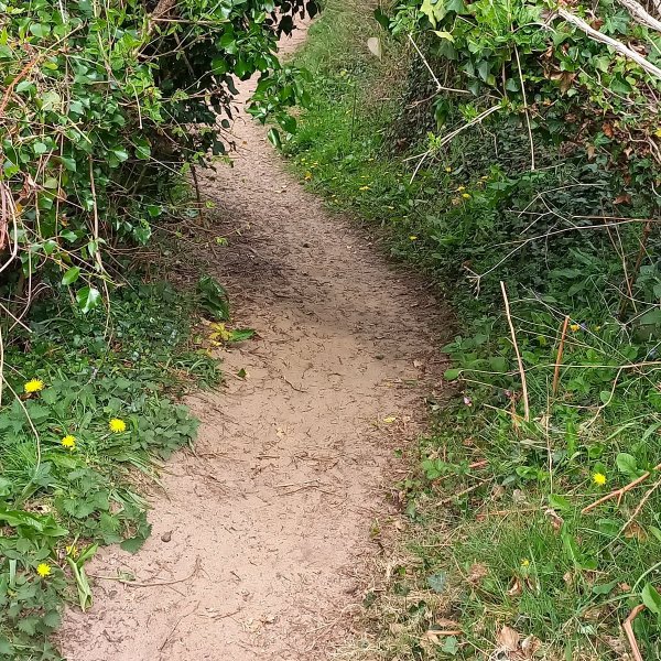 Nicholaston Farm Caravan & Camping — Foto 4