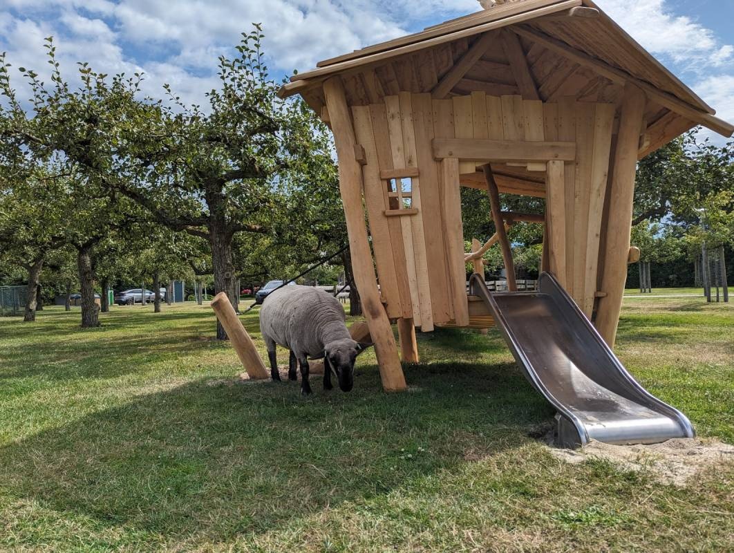 Camping de Toekomst — Campingplatz in Renesse