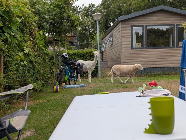 Camping de Toekomst — Photo 4