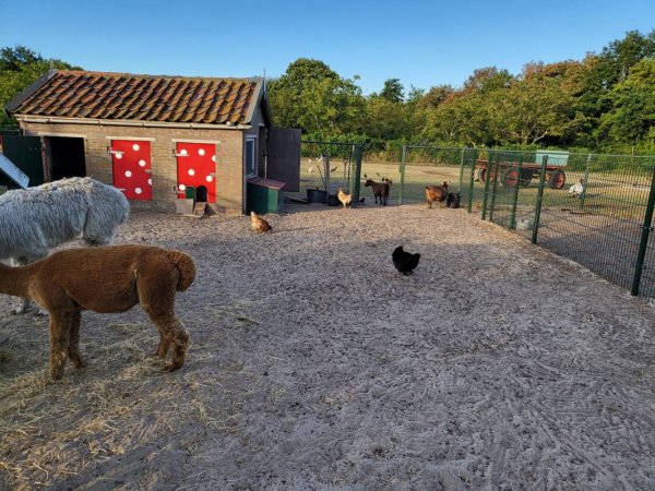 Camping de Toekomst — Photo 2