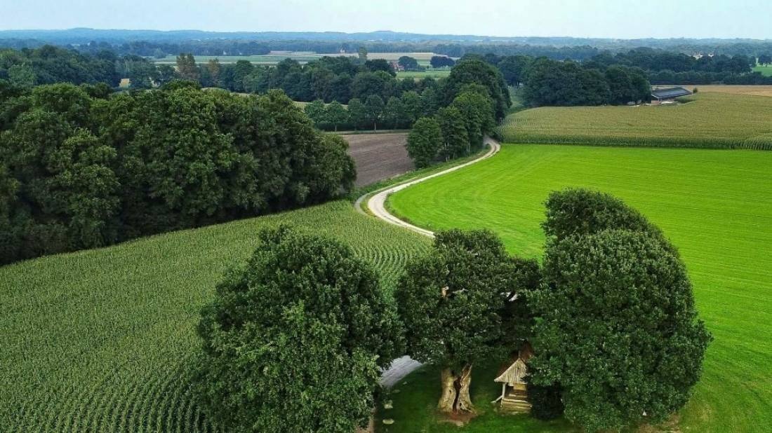 Campingplatz Klein Baasdam — Camping in Tubbergen