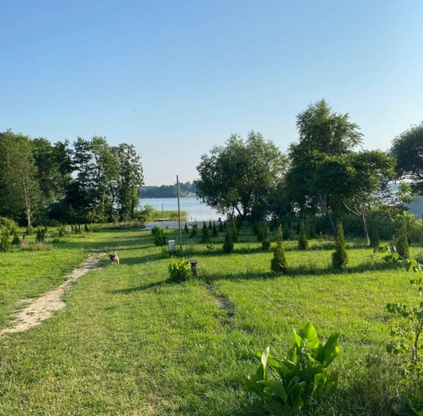 Kociołkowe Pole Camping /Pole Namiotowe /Kemping — Photo 2