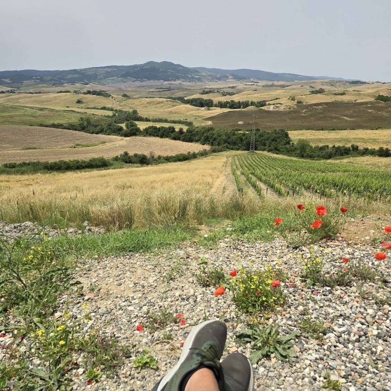 Azienda agricola Terre de Pepi — Vingård in 