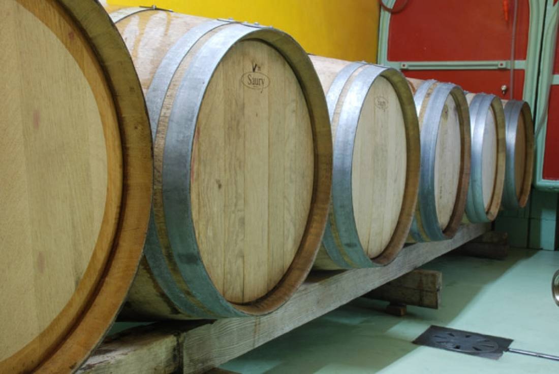 Azienda agricola Terre de Pepi — Winery in 