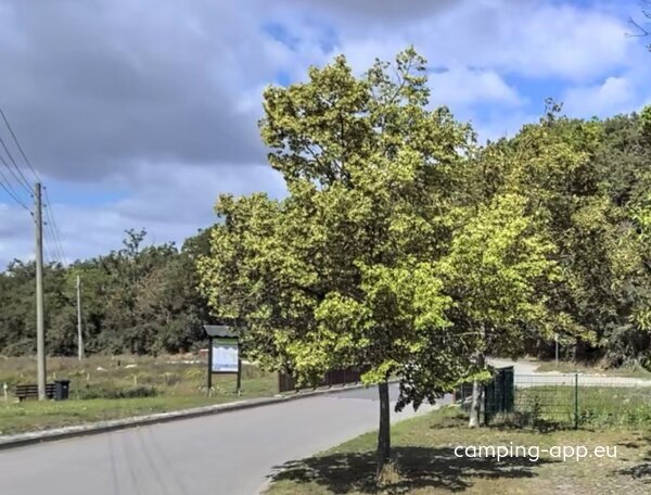 Stellplatz Sülzetal