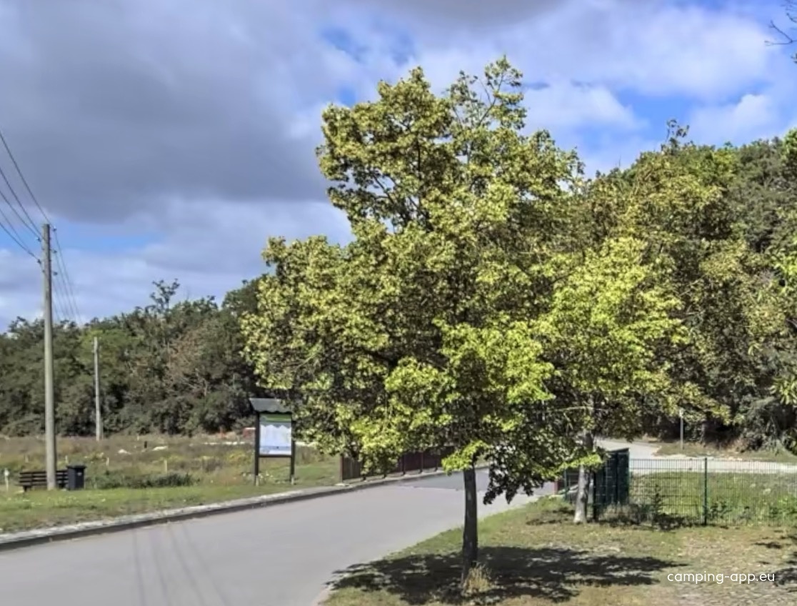 Stellplatz Sülzetal — Karavan Sitesi in Sülzetal