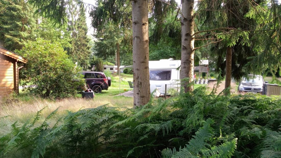 Stellplatz Gut Moorbeck — Bobilplass in Großenkneten