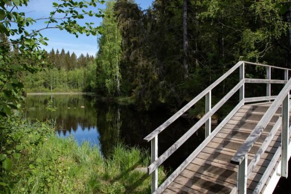 Siiponkosken Jokikeskus — Photo 2