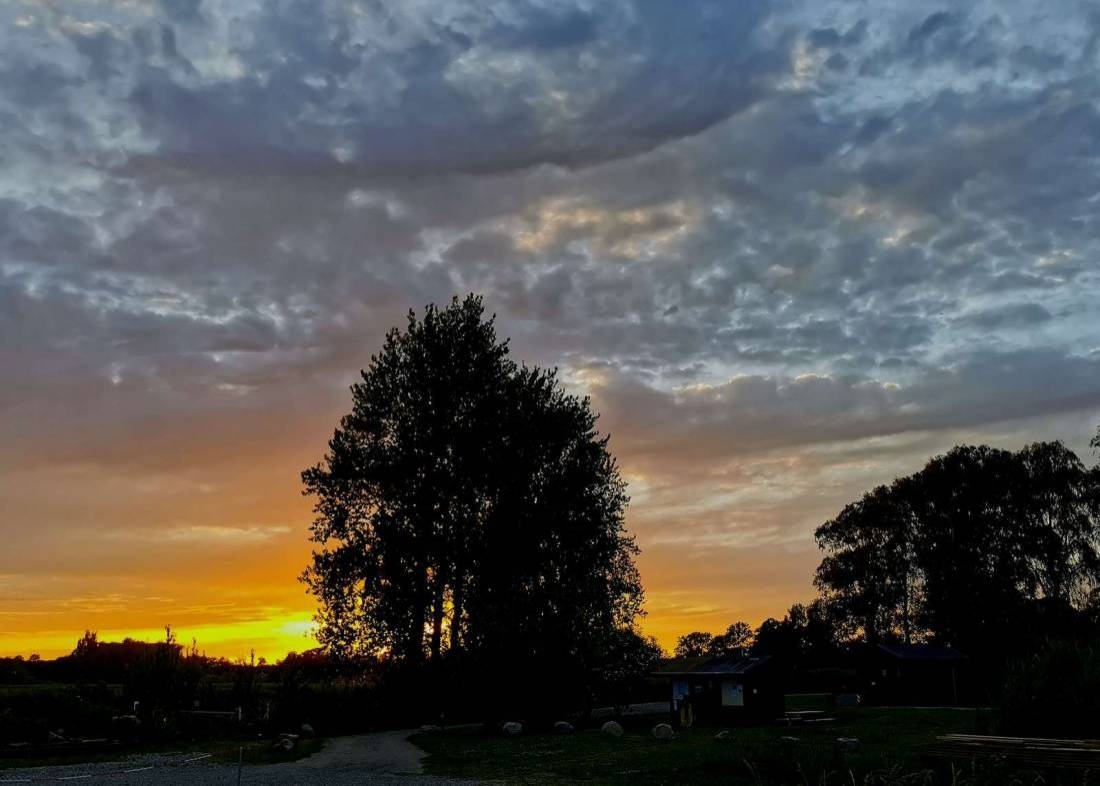 Ballen Havn — Camperplaats in Vester Skerninge