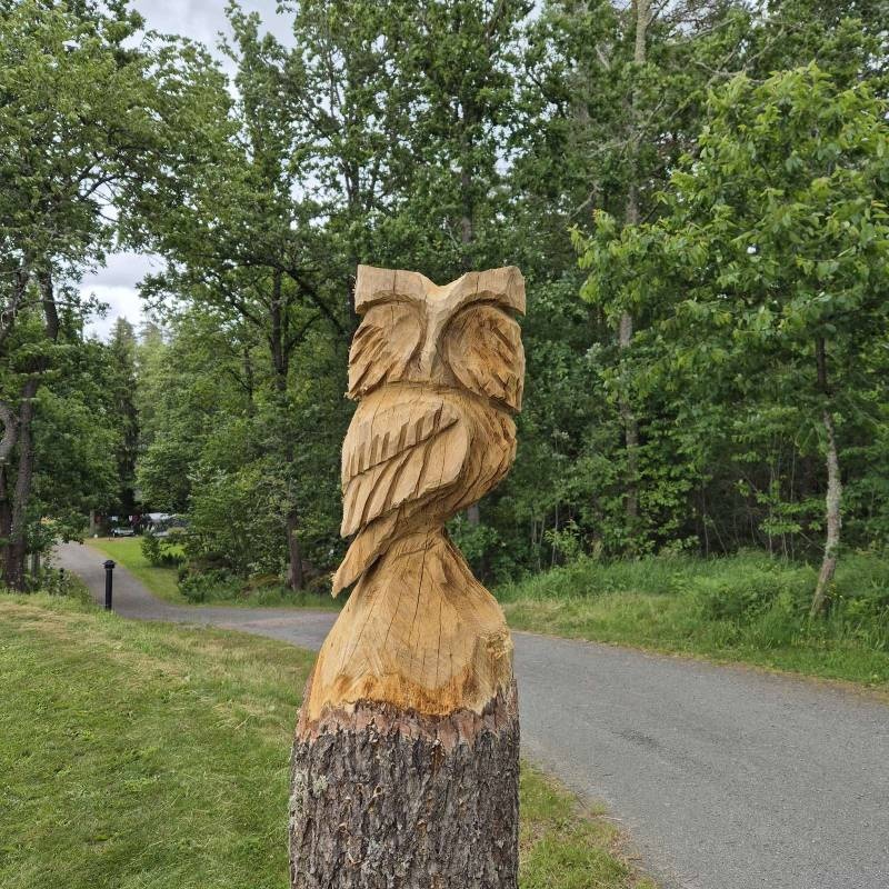 Långsjön Stugor & Camping — Kemp in Ankarsrum