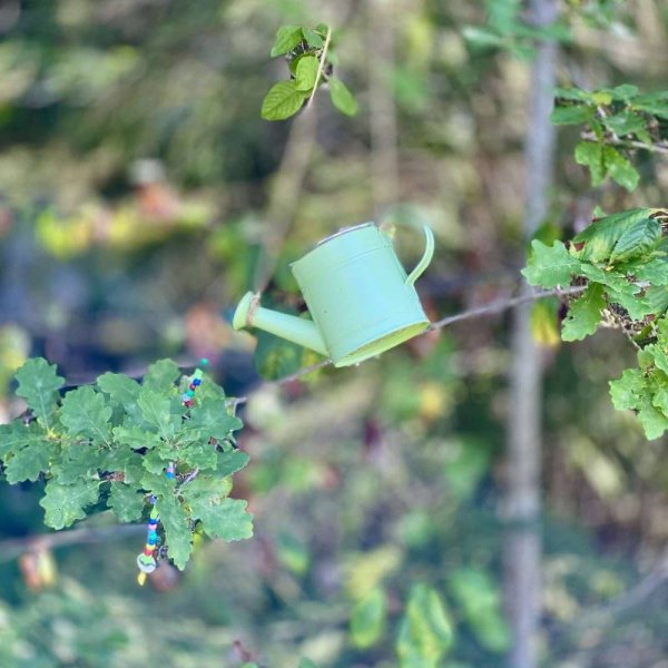 Långsjön Stugor & Camping — Photo 6