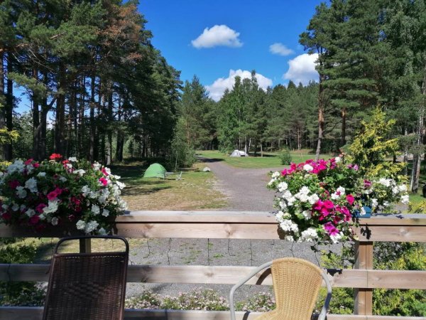 Lahemaa Camping — Foto 4