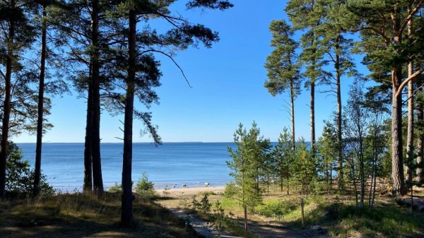 Lahemaa Camping — Foto 3