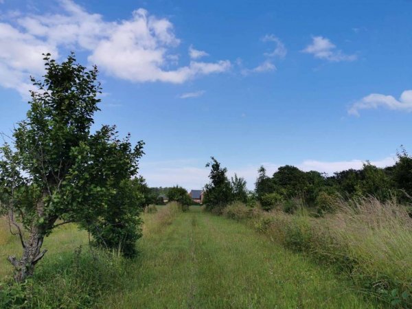 Damgaard Skaarup — Photo 5