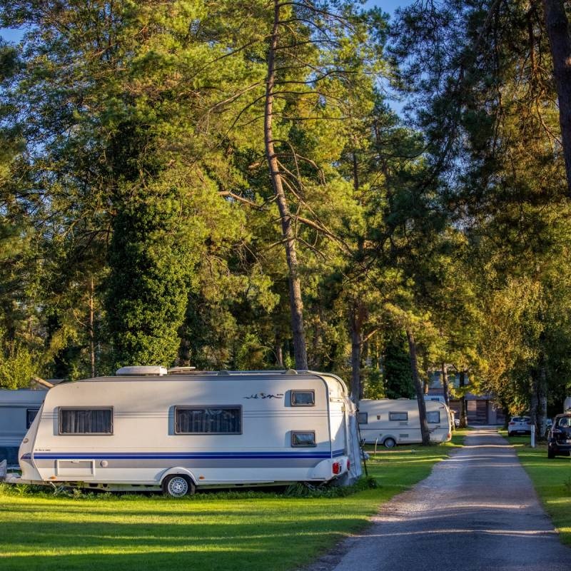 TCS Camping Flaach am Rhein — Sítio de acampamento in Flaach
