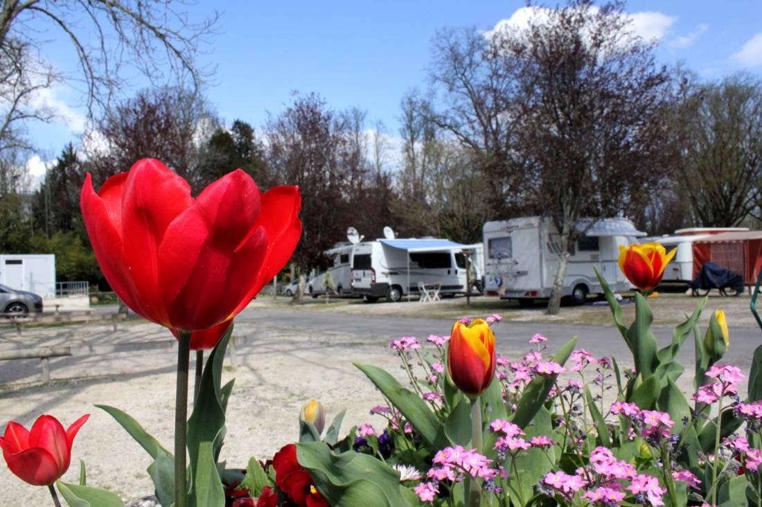 Camping Municipal de Jonzac — Camping in Jonzac